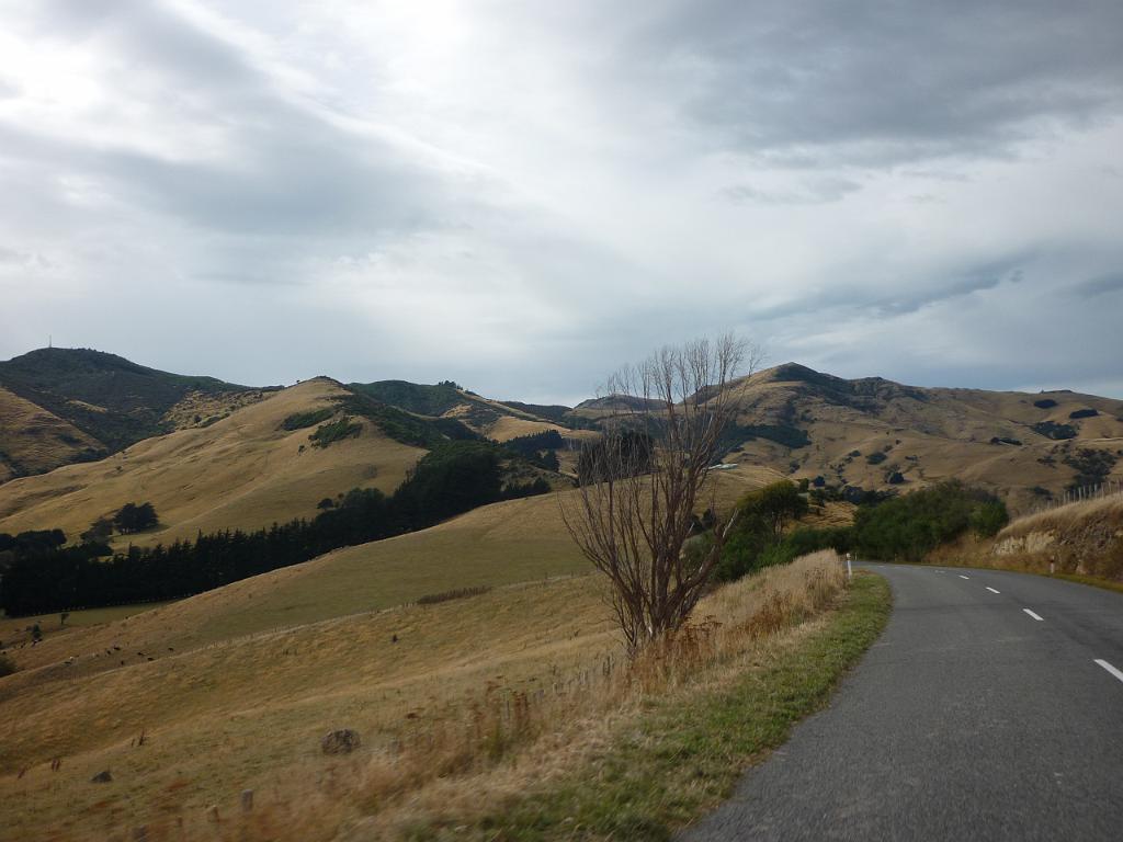 New_Zealand (657).JPG